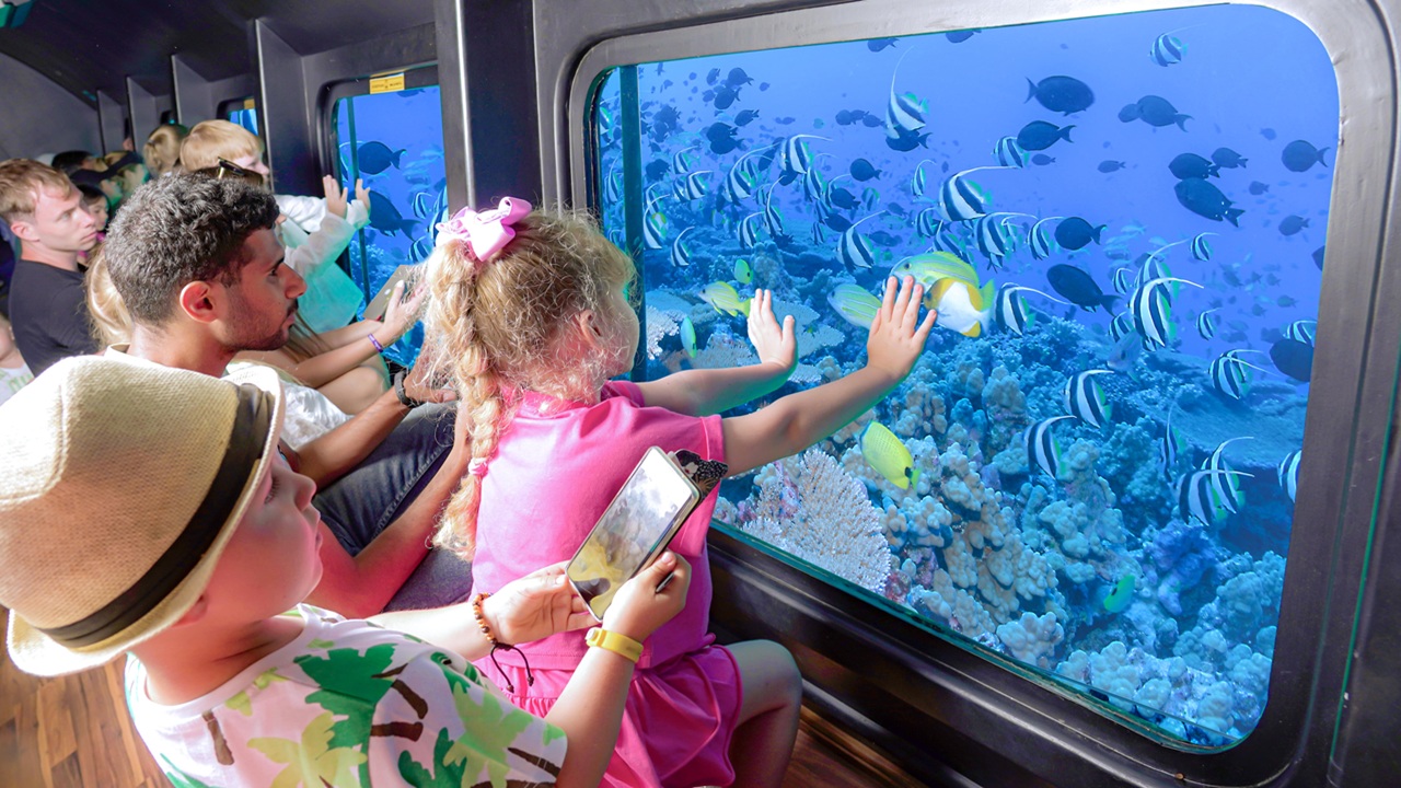 Explore the Red Sea Below – Royal Seascope