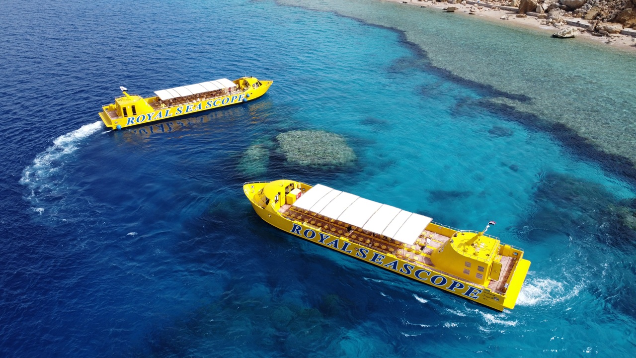 Dive Below Without Getting Wet – Royal Seascope