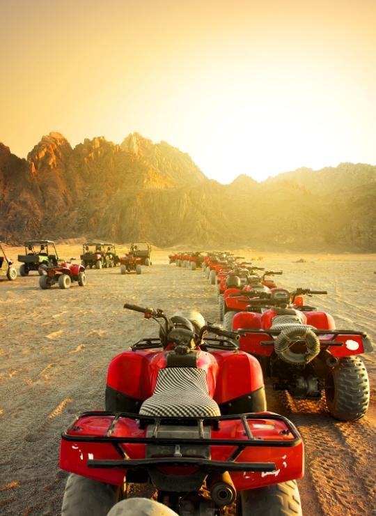 Desert Adventures
